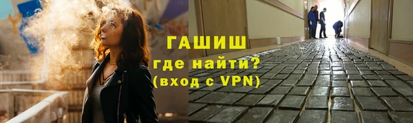 прущие грибы Алзамай