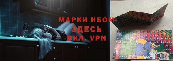 прущие грибы Алзамай