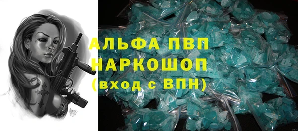 прущие грибы Алзамай