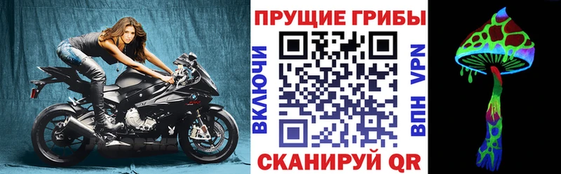 mega   Борзя  Галлюциногенные грибы Cubensis 